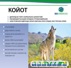 Coyote sokerijuurikkaan siemenet / sokerijuurikkaan siemenet SESVan 100000 us. vahvistaminen